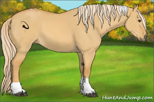 Horse Color:Palomino Dun Tobiano 