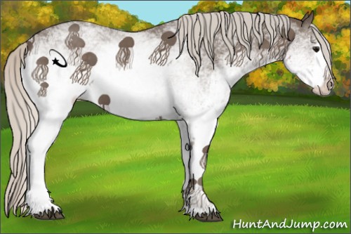 Horse Color:White Spotted Silver Black 