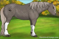 Horse Color:Silver Black 