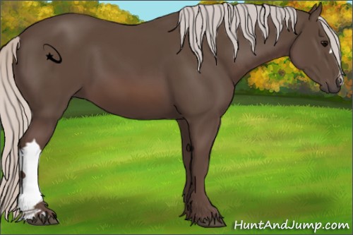 Horse Color:Silver Black 