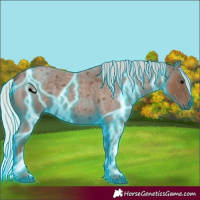 Horse Color:Thunderstruck Silver Blue Roan 