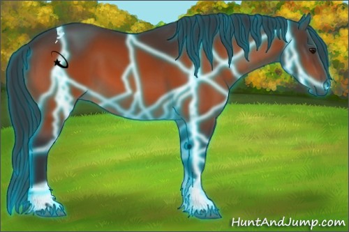 Horse Color:Thunderstruck Bay Tobiano 