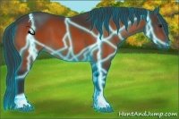 Horse Color:Thunderstruck Bay Tobiano