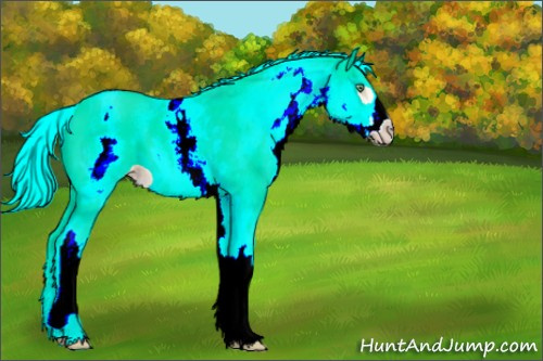 Horse Color:White Spotted Gold Cream Champagne