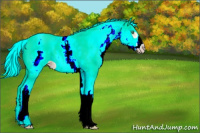 Horse Color:White Spotted Gold Cream Champagne