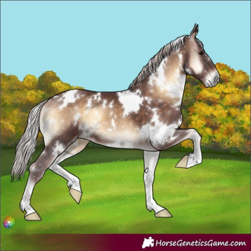 Horse Color:White Spotted Chocolate Silver Brown Onyx 
