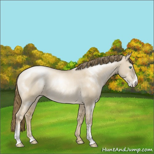 Horse Color:Smoky Grullo Pearl Sabino Rabicano 