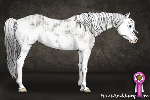 Horse Color:Brown Dun Sabino Splash and Grullo Sabino Splash