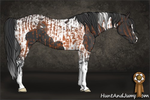 Horse Color:Brown  and Black Tobiano 