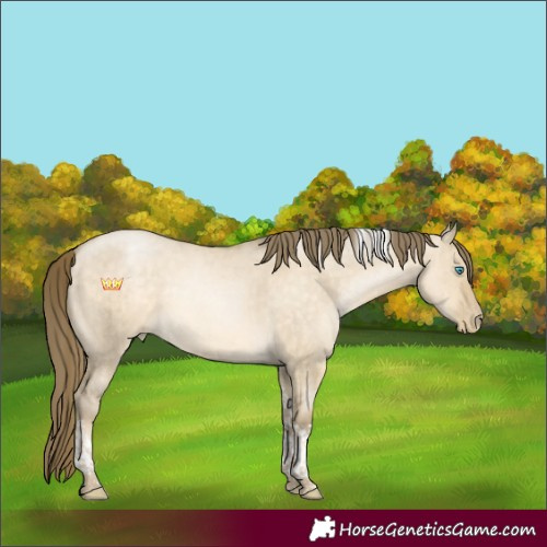 Horse Color:Buckskin Pearl Dun Tobiano Rabicano Brindle