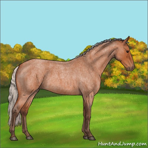 Horse Color:Silver Bay Roan 