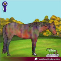 Horse Color:Nacre Bay 
