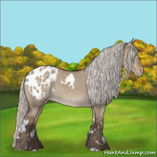 Horse Color:White Spotted Silver Grullo Blanket