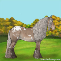 Horse Color:White Spotted Silver Grullo Appaloosa 