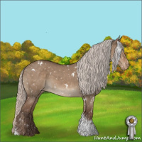 Horse Color:White Spotted Silver Grullo Tobiano Snowflake Varnish