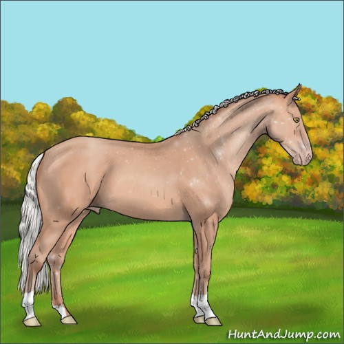 Horse Color:Silver Amber Champagne 