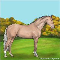 Horse Color:Silver Amber Champagne