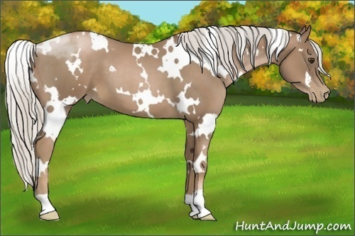 Horse Color:White Spotted Silver Black Pearl