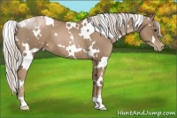 Horse Color:White Spotted Silver Black Pearl 