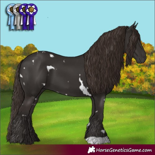 Horse Color:White Spotted Liver Chestnut 