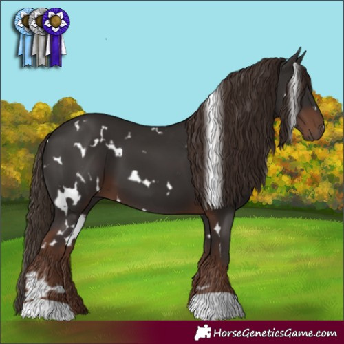 Horse Color:White Spotted Liver Chestnut 