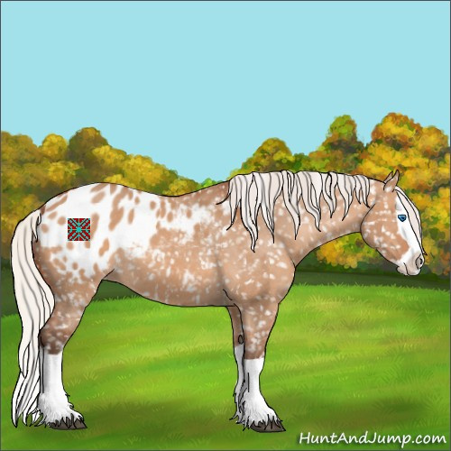 Horse Color:Silver Bay Dun Splash Appaloosa 