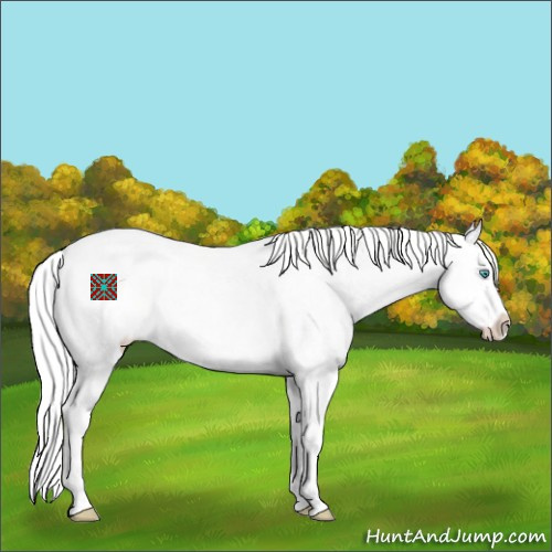 Horse Color:Silver Perlino Dun Splash Appaloosa 