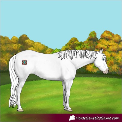 Horse Color:White Spotted Silver Perlino Dun Splash Appaloosa 