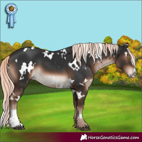 Horse Color:White Spotted Liver Chestnut Mushroom Sabino 