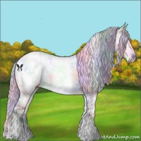 Horse Color:Nacre White Spotted Silver Bay Chinchilla Ice 