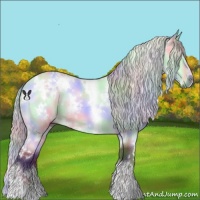 Horse Color:Nacre White Spotted Chocolate Silver Bay Chinchilla 