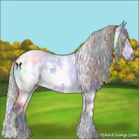 Horse Color:Nacre White Spotted Chocolate Silver Bay Chinchilla Onyx 