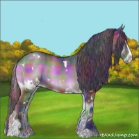 Horse Color:Nacre Plaid  White Spotted Brown Onyx Sabino 