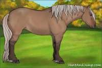 Horse Color:Silver Brown Dun Rabicano 