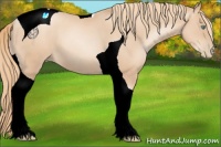 Horse Color:Gold Champagne Pearl Tobiano 