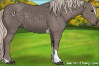 Horse Color:Silver Black Tobiano 