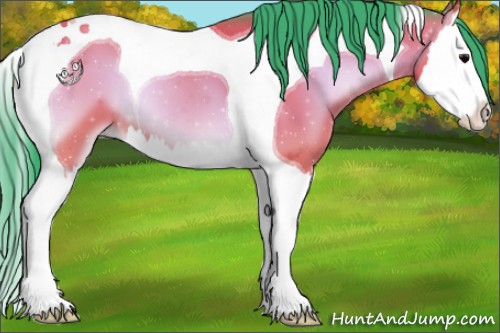 Horse Color:Watercolor Bay Onyx Splash Tobiano 