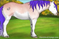 Horse Color:Watercolor Bay Onyx Splash 