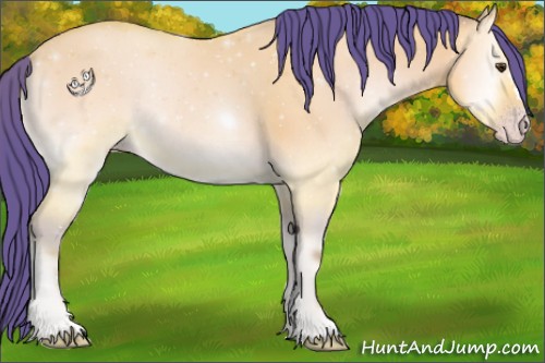 Horse Color:Watercolor Amber Champagne Onyx 