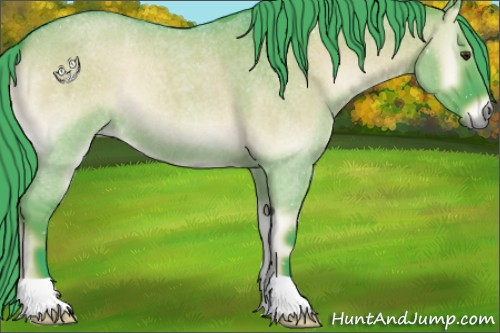 Horse Color:Watercolor Liver Red Dun Roan Onyx 