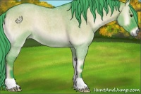 Horse Color:Watercolor Liver Red Dun Roan Onyx 