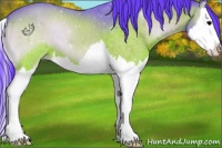 Horse Color:Watercolor Bay Onyx Sabino Splash 