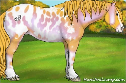 Horse Color:Watercolor Liver Red Onyx Sabino Appaloosa