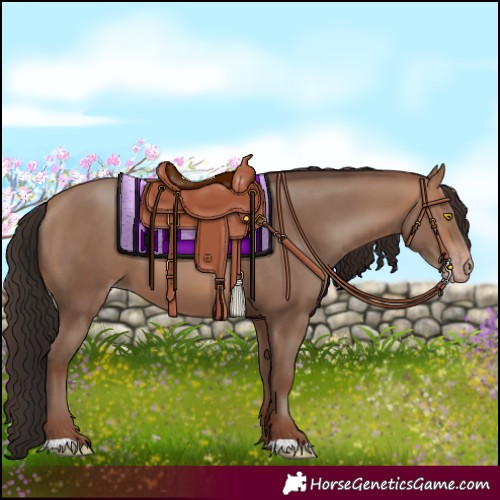 Horse Color:Sable Champagne