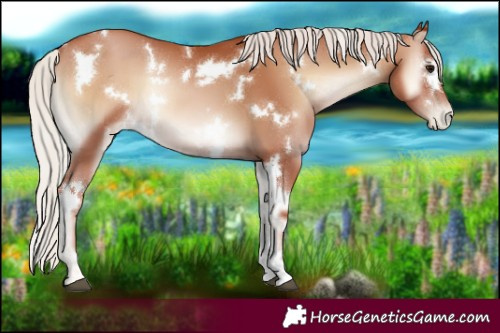 Horse Color:White Spotted Silver Blue Onyx Pearl 