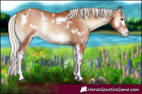 Horse Color:White Spotted Silver Blue Onyx Pearl 