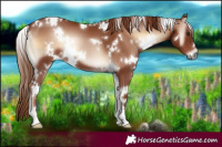 Horse Color:White Spotted Red Onyx 