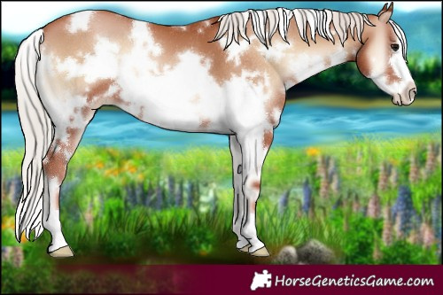 Horse Color:White Spotted Silver Blue Onyx Pearl Frame 
