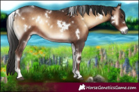 Horse Color:White Spotted Liver Red Onyx 