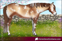 Horse Color:White Spotted Red Onyx 